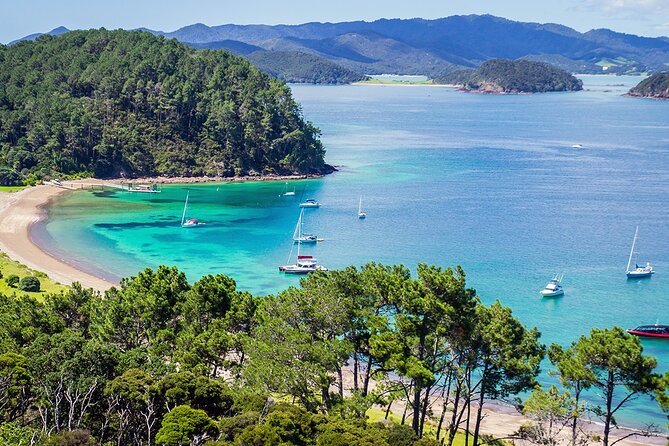 [PRIVATE] Bay of Islands Discovery From Auckland - Returning to Auckland