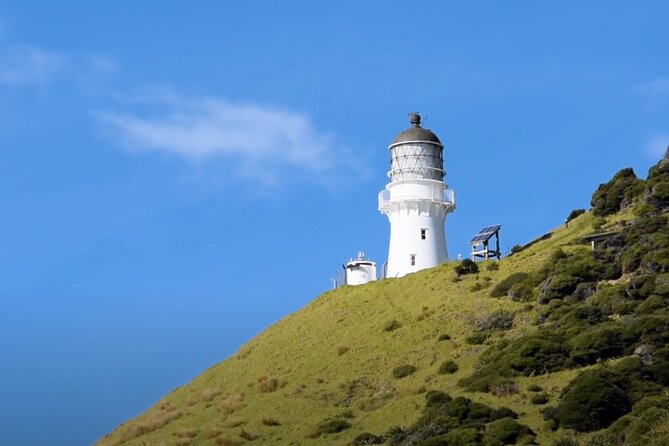 [PRIVATE] Bay of Islands Discovery From Auckland - The Charms of Paihia