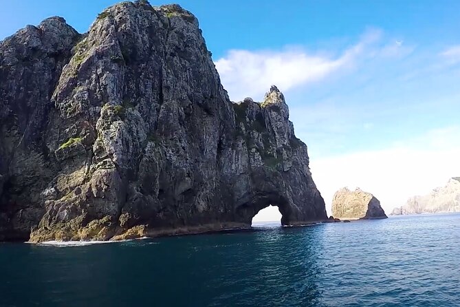 [PRIVATE] Bay of Islands Discovery From Auckland - Introduction: A Day of Scenic Wonders and Marine Adventure