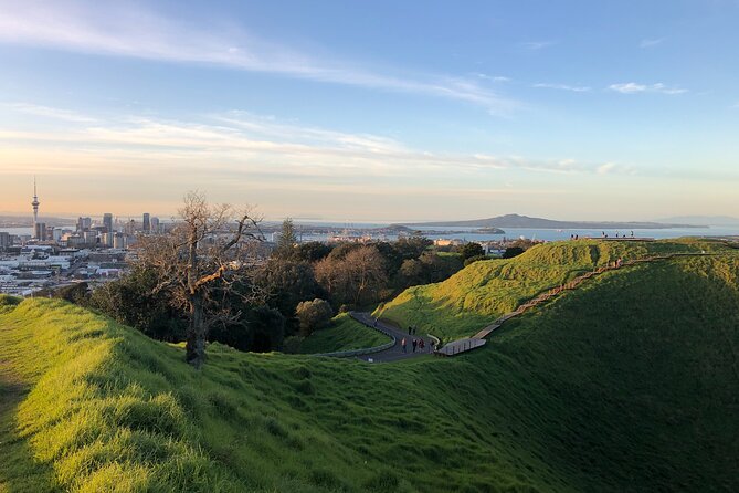 Private Auckland Tour - Good To Know