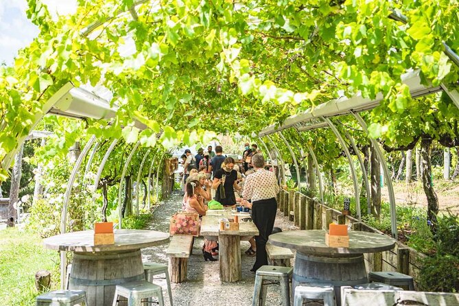 Matakana Explorer Tour - Who Should Consider This Tour?