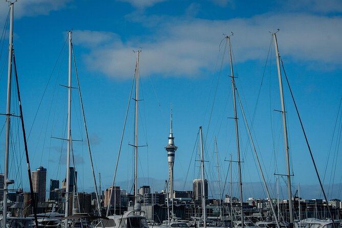 Half Day Auckland City Sightseeing Tour with Expert Guide - Who Should Consider This Tour?