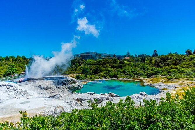 Private Tour from Auckland Hobbiton Rotorua and Wai-O-Tapu - Who Will Love This Tour?