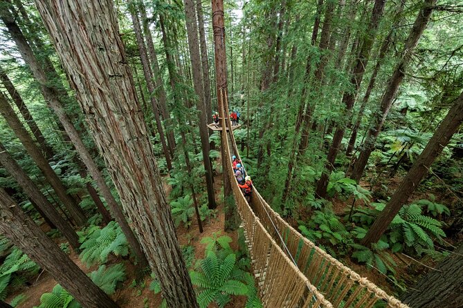 From Auckland Wai Ariki and Rotorua Redwoods Small Group Tour - Authentic Experiences & Insights from Reviews