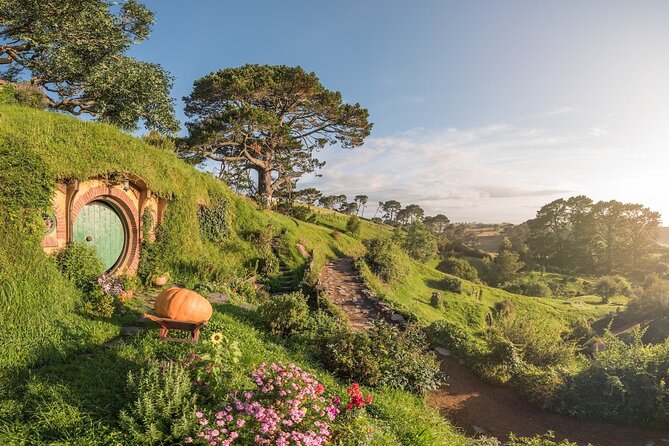 Hobbiton, Waitomo Caves and Kiwi House Day Tour From Auckland - The Experience in Detail