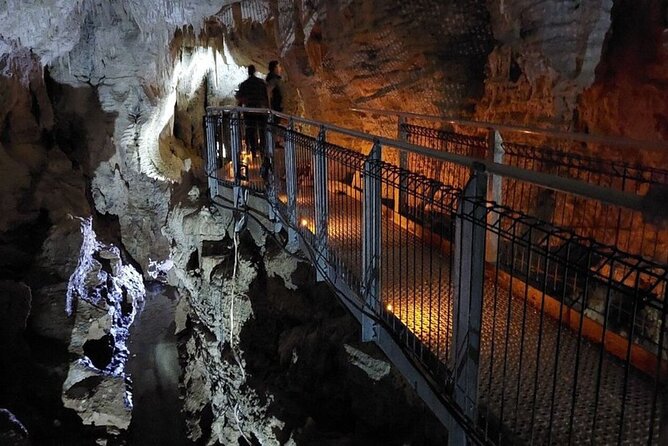 TE PUIA Geothermal, Polynesian Spa & Blue Springs Day Tour Ex AKL - Final Thoughts