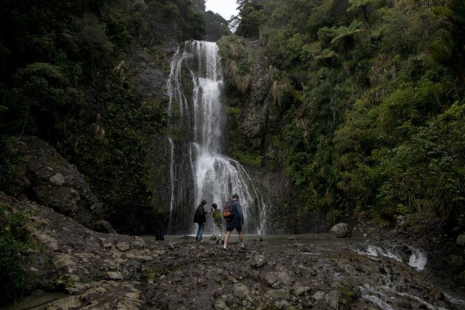 Explore BLACK SAND PIHA BEACH, and Water Falls in West Auckland - Is It Worth the Price?
