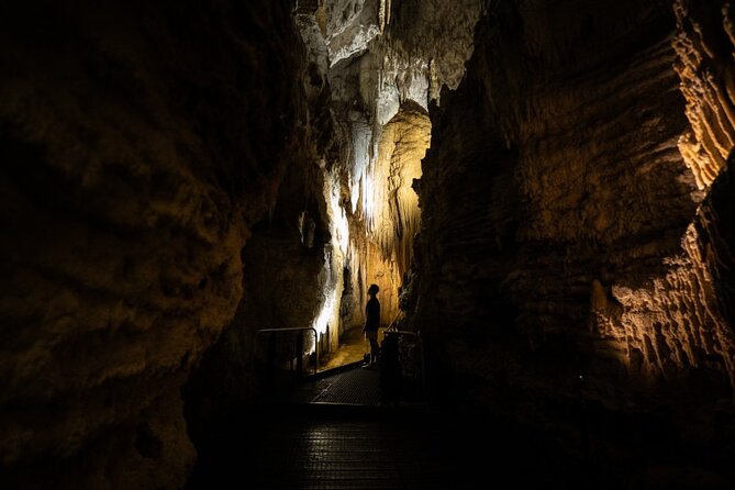 Glowworm Caves & Hamilton Gardens Day Tour from Auckland - Final Thoughts