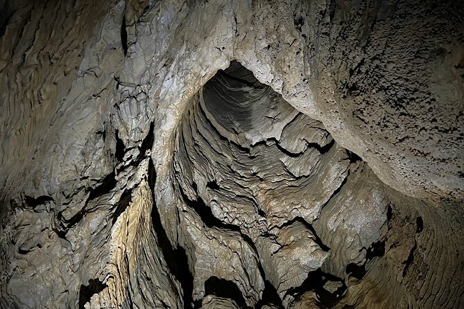 Glowworm Caves & Hamilton Gardens Day Tour from Auckland - Who Will Enjoy This Tour the Most?
