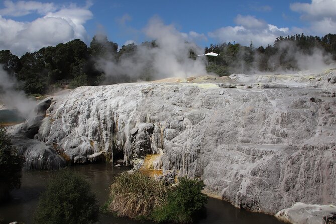Rotorua Full Day Adventure in Glowworm Cave and Redwoods - Why This Tour Offers Great Value