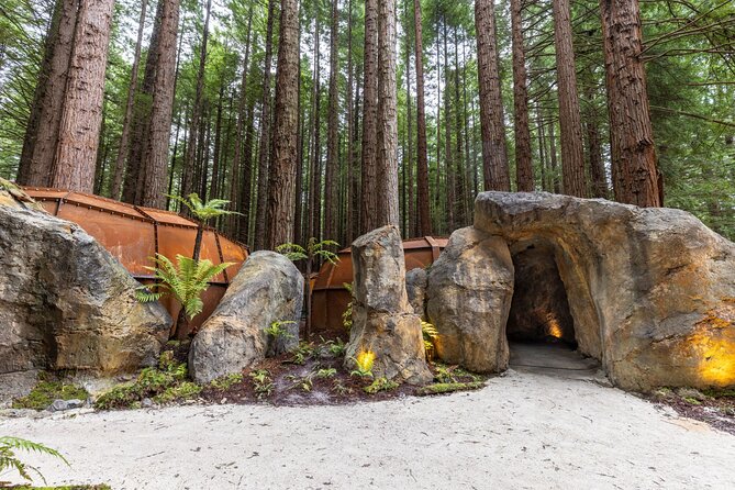 Rotorua Full Day Adventure in Glowworm Cave and Redwoods - Authentic Insights from Past Participants