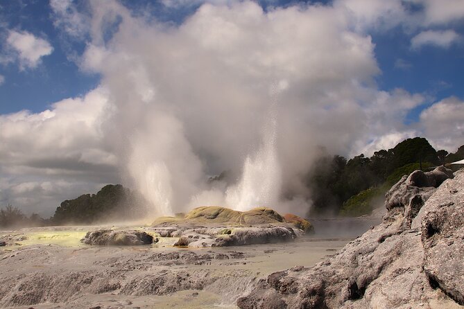 Rotorua Full Day Adventure in Glowworm Cave and Redwoods - Good To Know