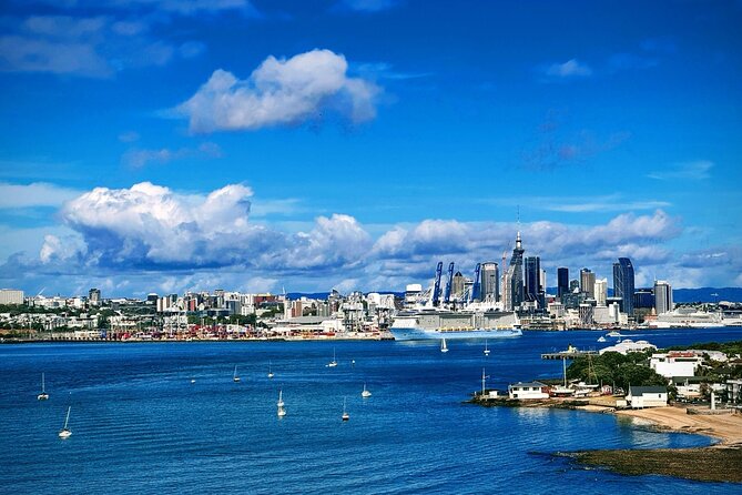 Auckland Sightseeing Half Day Tour - The Experience in Practice