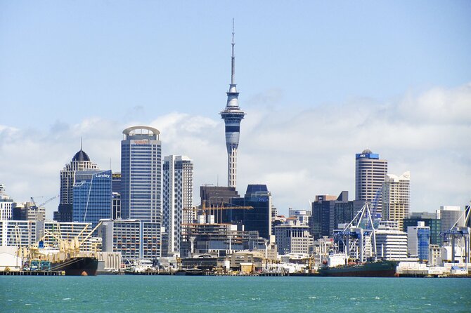Guided Auckland Highlights Half Day City Tour - Key Points