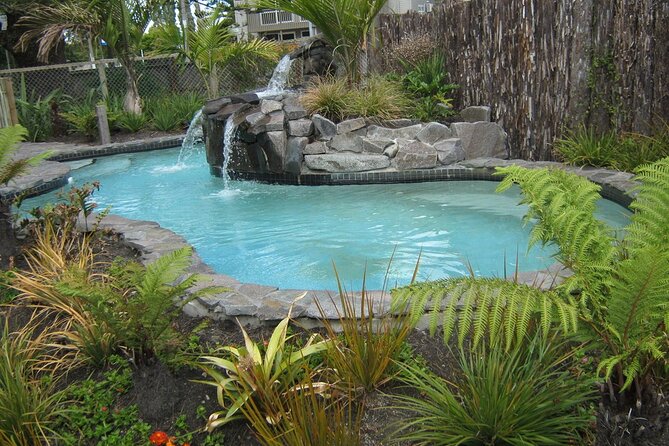 Auckland Thermal Pool and Muriwai Beach Sunset Day tour - A Closer Look at the Itinerary