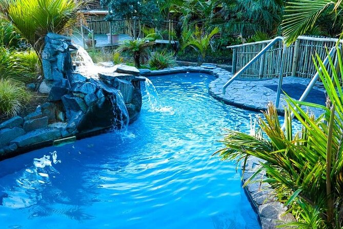 Auckland Thermal Pool and Muriwai Beach Sunset Day tour - The Details That Matter