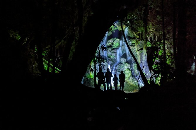 Kahukiwi Experiences Luxury 4WD 3hour Guided Maori Tour - Authenticity and Reviews: What Travelers Are Saying