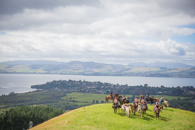 Guided Horse Trekking from Rotorua - What to Expect on the Tour