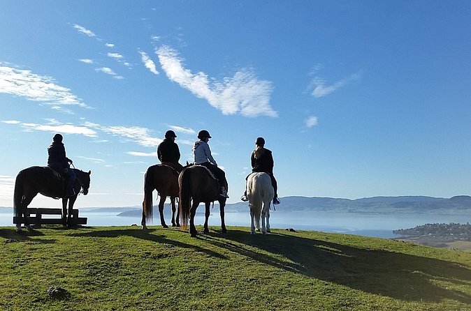 Guided Horse Trekking from Rotorua - Who Should Consider This Tour?