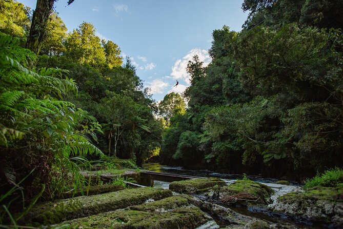 Okere Falls Zipline Experience - Final Thoughts