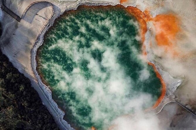 Afternoon Eco-Thermal Tour Explore Nature's Wonders - Exploring Rotorua’s Geothermal Marvels: An In-Depth Review of the Afternoon Eco-Thermal Tour