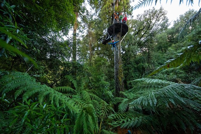Rotorua's Biggest Zipline Adventure - Ultimate Canopy Tour - Key Points