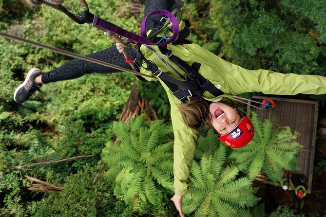 Rotorua's Biggest Zipline Adventure - Ultimate Canopy Tour - What Is the Rotoruas Biggest Zipline Adventure — The Ultimate Canopy Tour?
