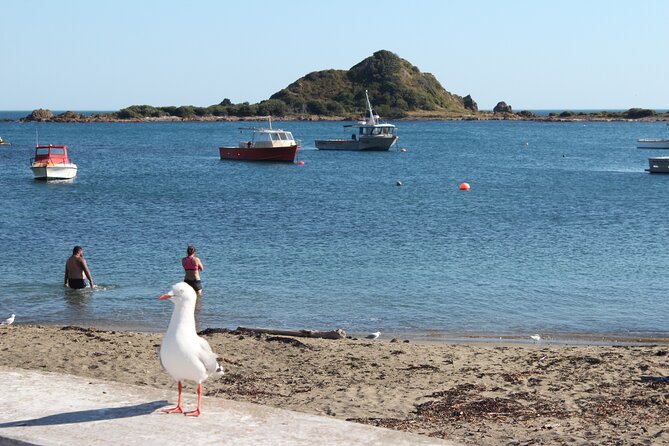 Wellington Scenic Full Day Tour - A Closer Look at the Itinerary