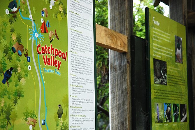 Wellington Native Bush Walking Tour - A Deep Dive into the Wellington Native Bush Walking Tour