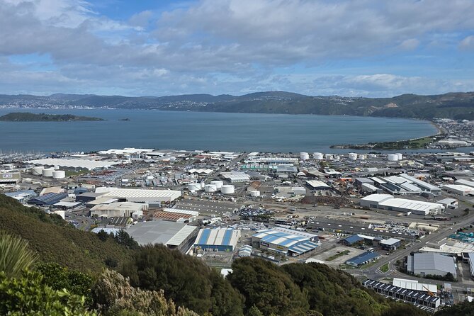 Wellington Native Bush Walking Tour - Potential Drawbacks & Considerations