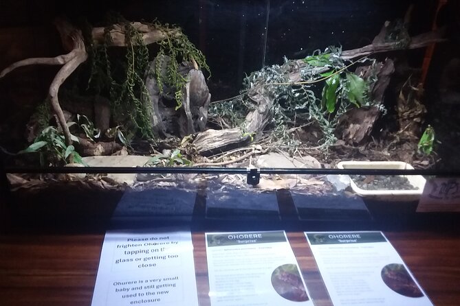 Wildlife Centre Experience - Authentic Insights from Reviewers