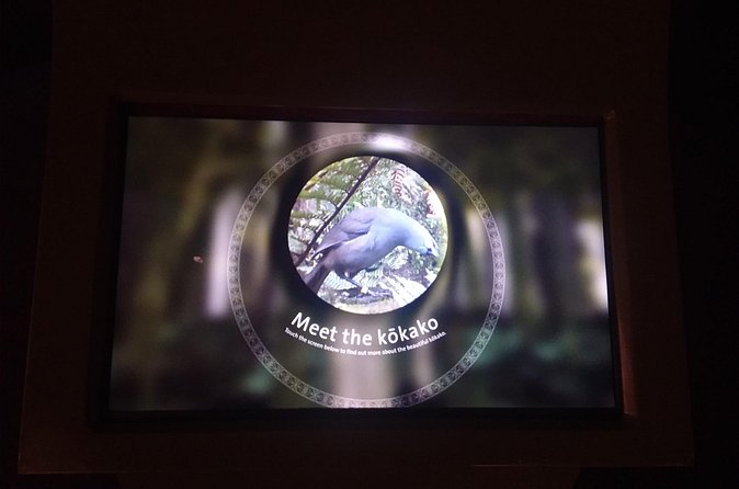 Wildlife Centre Experience - Frequently Asked Questions