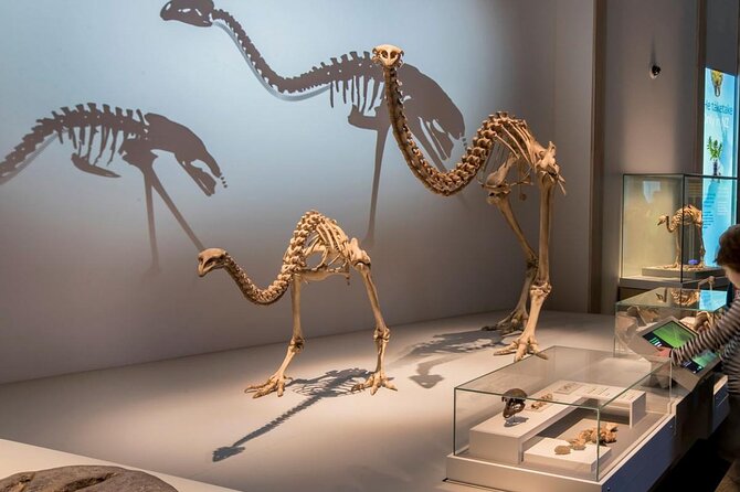 Museum of New Zealand Te Papa Tongarewa Entry Ticket - Who Will Love This Experience?