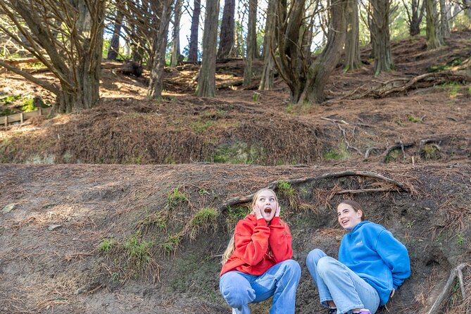 Lord of The Rings Full Day locations tour incl Weta & keepsake - Final Thoughts: Is This Tour Right for You?