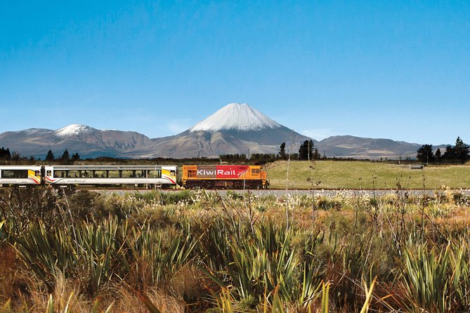 Northern Explorer Train Journey from Wellington to Auckland - Value for Money