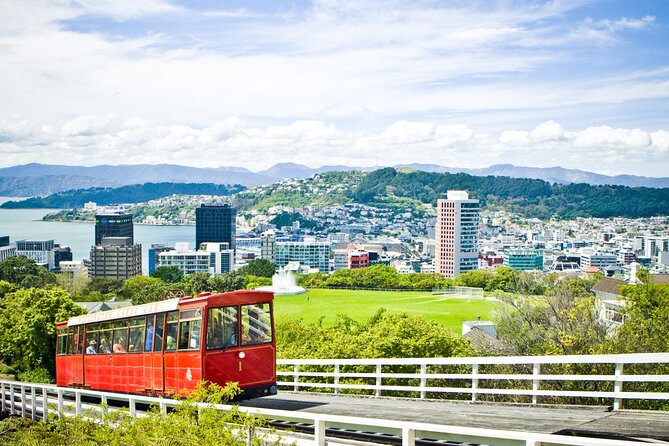 Wellington Private Highlight Full Day tour - Practical Tips for Future Travelers