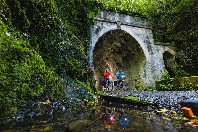 Remutaka Rail Trail Explorer - eBike Cruise Ship Shore Excursion - Who Would Love This Tour?