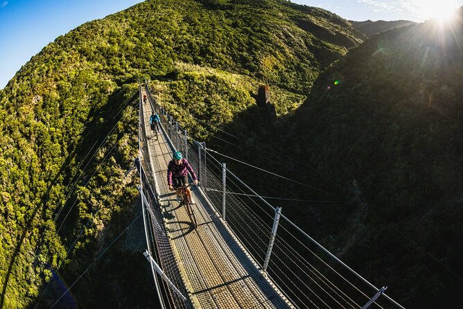 Remutaka Rail Trail Explorer - eBike Cruise Ship Shore Excursion - A Deeper Look at the Remutaka Rail Trail eBike Experience