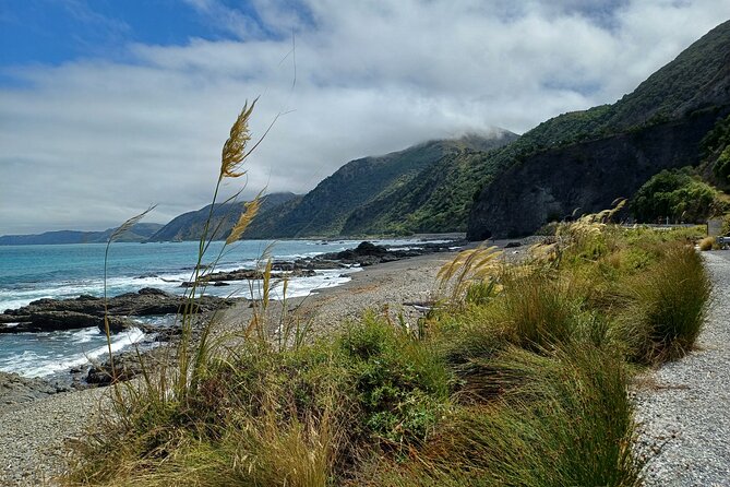 Visit Kaikura from Christchurch (small group Tour) - The Itinerary Breakdown: What to Expect