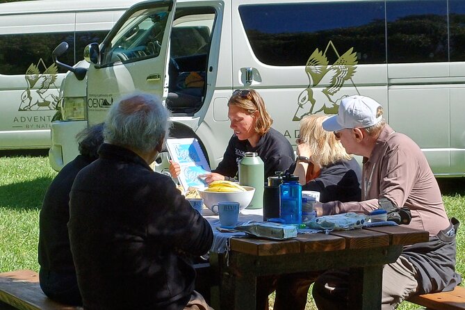 Visit Kaikura from Christchurch (small group Tour) - Exploring Kaikoura from Christchurch: A Balancing Act of Nature and Adventure