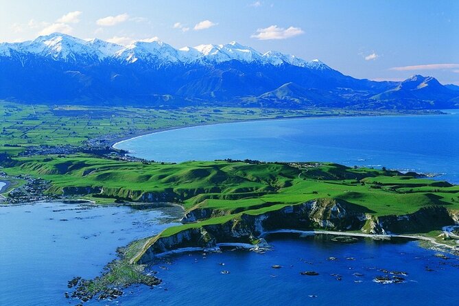 Kaikoura Kayaking Adventure Small Group Tour from Christchurch - Additional Resources
