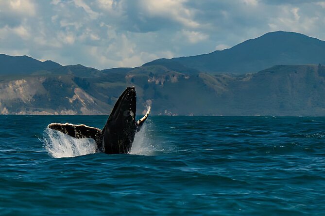 Kaikoura Day Tour From Christchurch - Good To Know