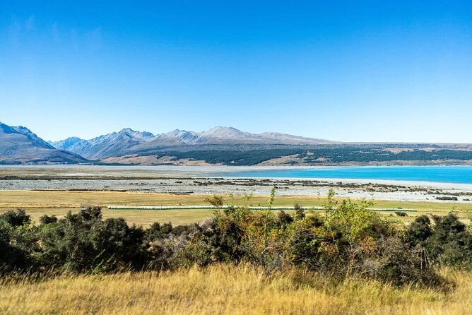 Lake Tekapo and Aoraki Mount Cook - A Deep Dive into the Experience