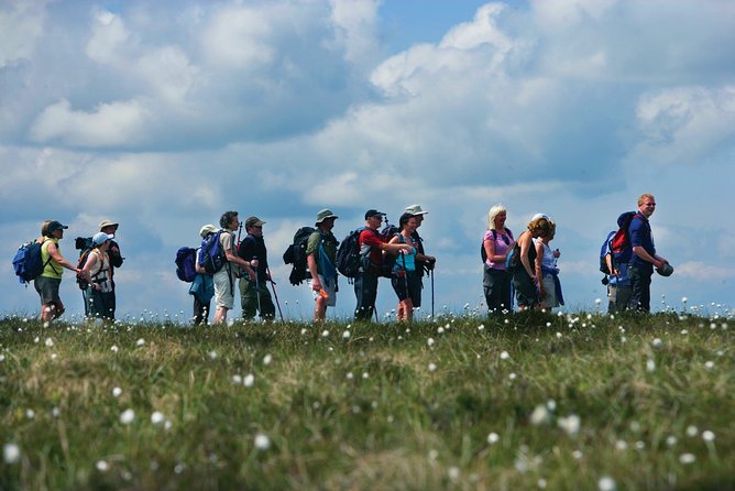 1/2 Day Pilgrim's Walk on St Patrick's Way and Lunch - The Value of This Tour