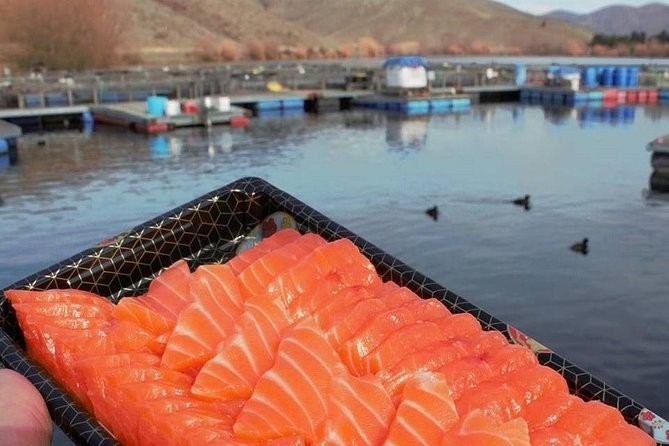 Mt Cook Small Group Scenic Day Tour from Queenstown - Who Would Love This Tour?