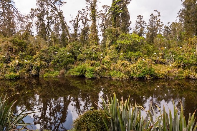 3 Day Private Photography Tour West Coast NZ Departs Queenstown - The Value of This Tour
