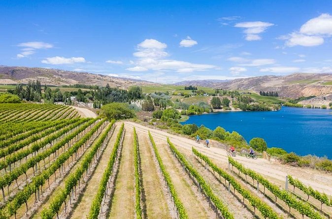 Ride and Wine Central Otago E bike Adventure - FAQ