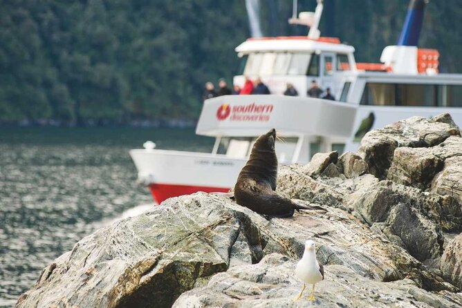 Milford Sound Coach & Extended Cruise from Queenstown - Final Thoughts