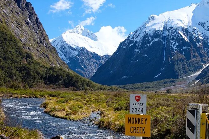 Milford Sound Small Group Day Tour From Queenstown - Analyzing the Price and Value