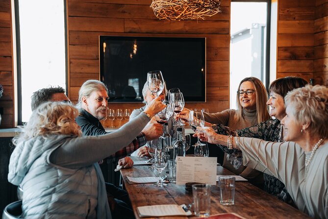 VIP Wine Experience from Queenstown Including Gourmet Lunch. - Good To Know